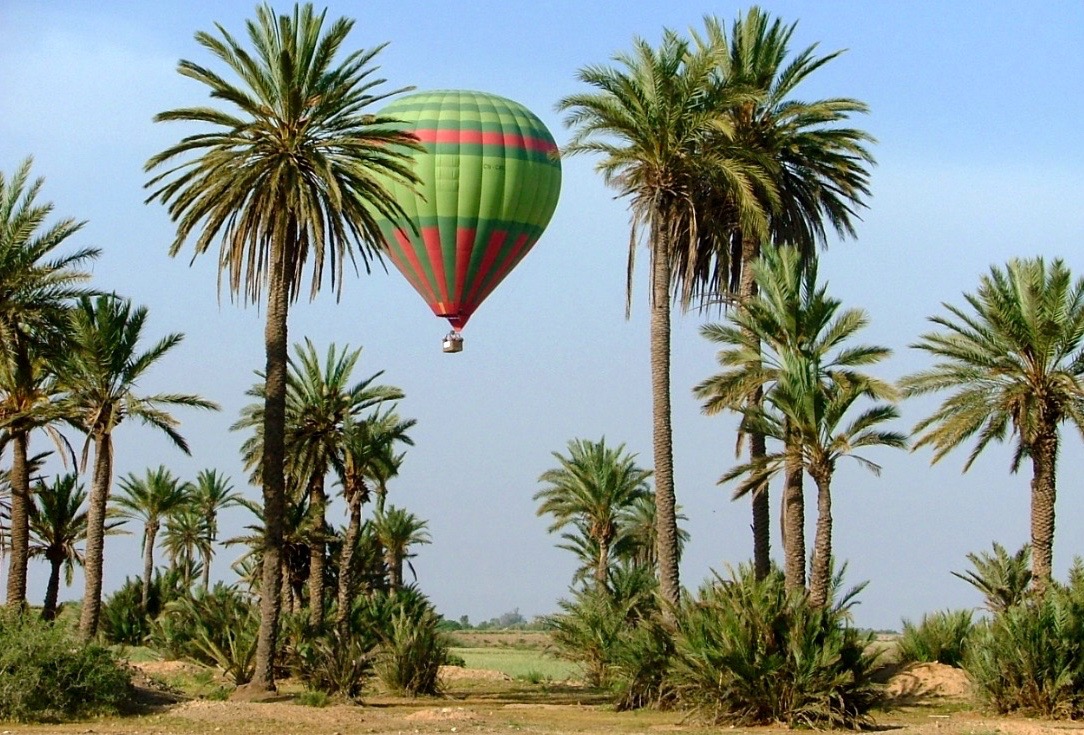 Zoom photo Activity Hot Air Balloon Ride Over Marrakech