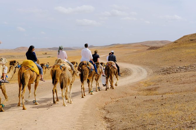 Zoom photo Activity Sunset Camel Ride In Agafay Desert