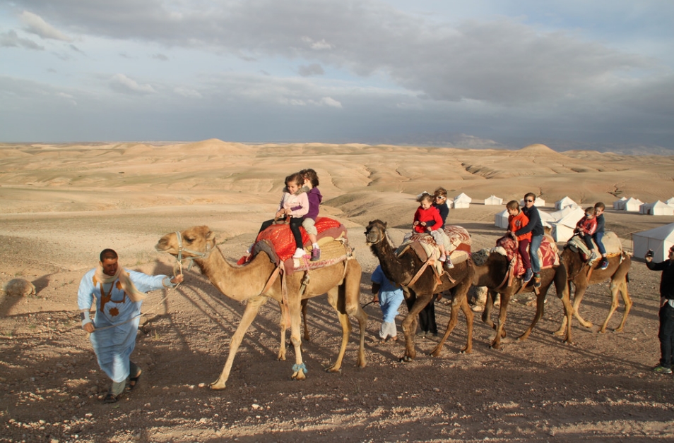 Zoom photo Activity Sunset Camel Ride In Agafay Desert