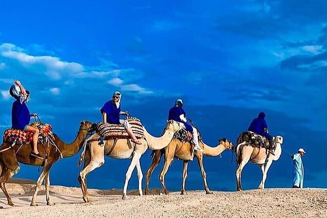 Zoom photo Activity Sunset Camel Ride In Agafay Desert